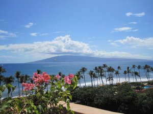 Maui hotel view